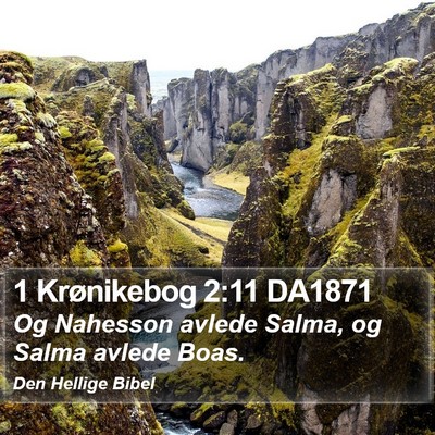 1 Krønikebog 2:11 DA1871 Bible Verse Image