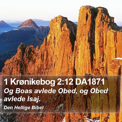 1 Krønikebog 2:12 DA1871 Bible Verse Image