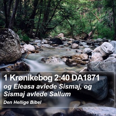 1 Krønikebog 2:40 DA1871 Bible Verse Image