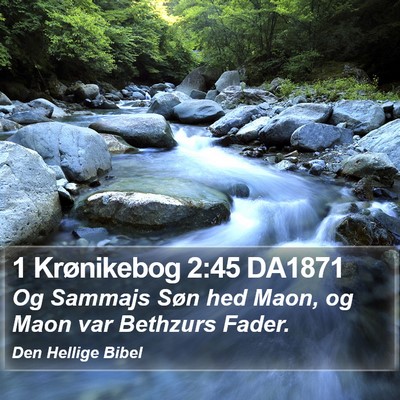 1 Krønikebog 2:45 DA1871 Bible Verse Image