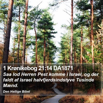 1 Krønikebog 21:14 DA1871 Bible Verse Image