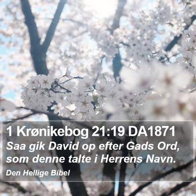 1 Krønikebog 21:19 DA1871 Bible Verse Image