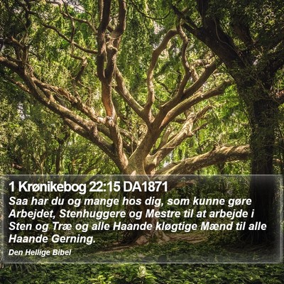 1 Krønikebog 22:15 DA1871 Bible Verse Image