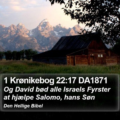 1 Krønikebog 22:17 DA1871 Bible Verse Image
