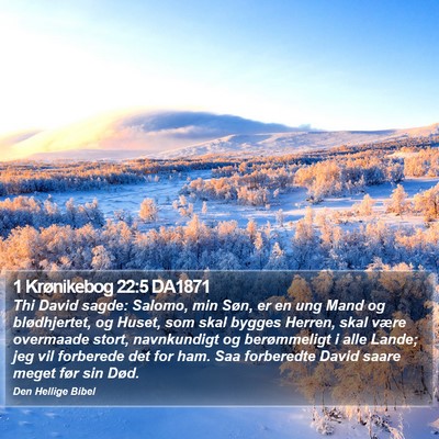1 Krønikebog 22:5 DA1871 Bible Verse Image