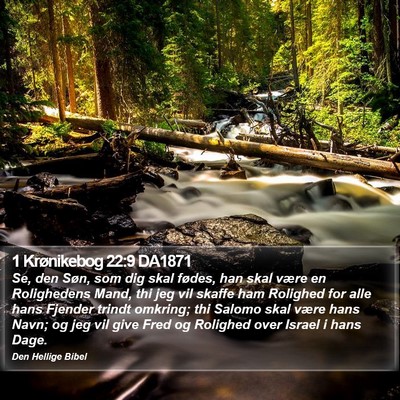 1 Krønikebog 22:9 DA1871 Bible Verse Image
