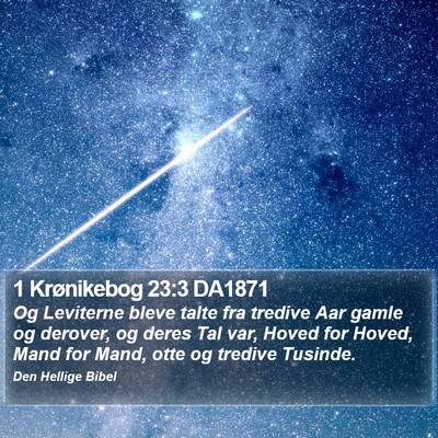 1 Krønikebog 23:3 DA1871 Bible Verse Image