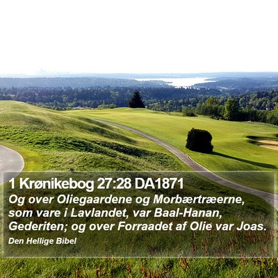 1 Krønikebog 27:28 DA1871 Bible Verse Image