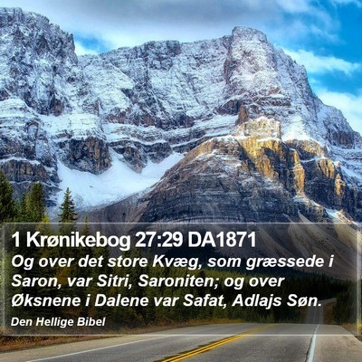 1 Krønikebog 27:29 DA1871 Bible Verse Image
