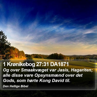 1 Krønikebog 27:31 DA1871 Bible Verse Image