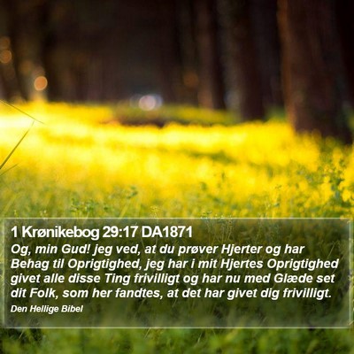 1 Krønikebog 29:17 DA1871 Bible Verse Image
