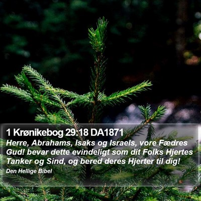 1 Krønikebog 29:18 DA1871 Bible Verse Image