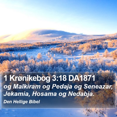 1 Krønikebog 3:18 DA1871 Bible Verse Image