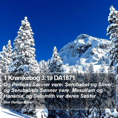 1 Krønikebog 3:19 DA1871 Bible Verse Image