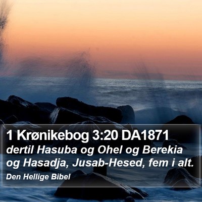 1 Krønikebog 3:20 DA1871 Bible Verse Image