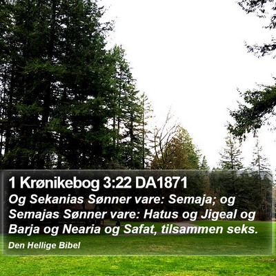 1 Krønikebog 3:22 DA1871 Bible Verse Image