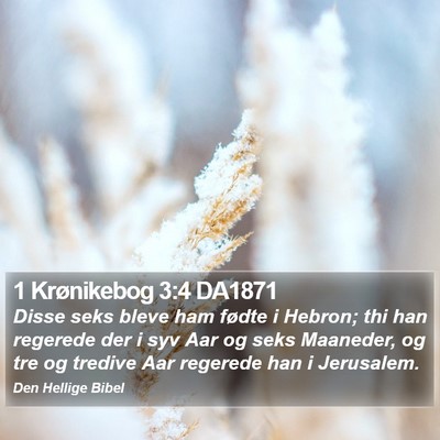 1 Krønikebog 3:4 DA1871 Bible Verse Image