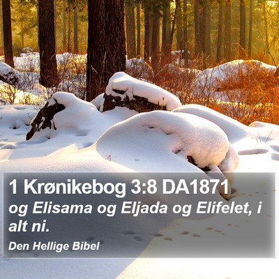 1 Krønikebog 3:8 DA1871 Bible Verse Image