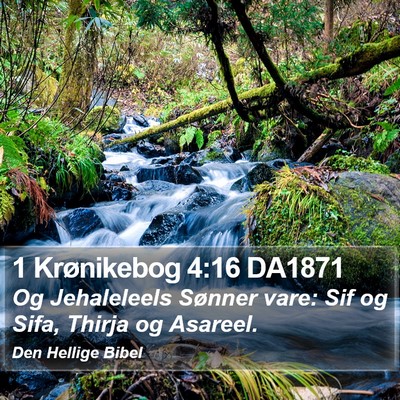 1 Krønikebog 4:16 DA1871 Bible Verse Image