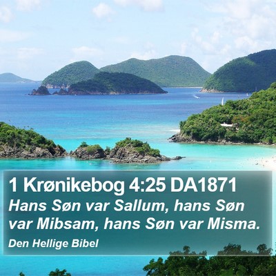 1 Krønikebog 4:25 DA1871 Bible Verse Image