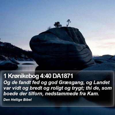 1 Krønikebog 4:40 DA1871 Bible Verse Image
