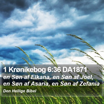 1 Krønikebog 6:36 DA1871 Bible Verse Image