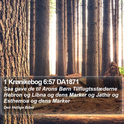 1 Krønikebog 6:57 DA1871 Bible Verse Image