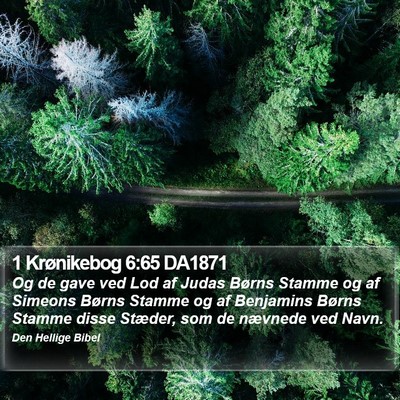 1 Krønikebog 6:65 DA1871 Bible Verse Image