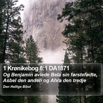 1 Krønikebog 8:1 DA1871 Bible Verse Image