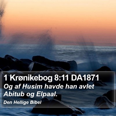 1 Krønikebog 8:11 DA1871 Bible Verse Image