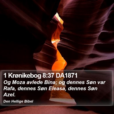 1 Krønikebog 8:37 DA1871 Bible Verse Image