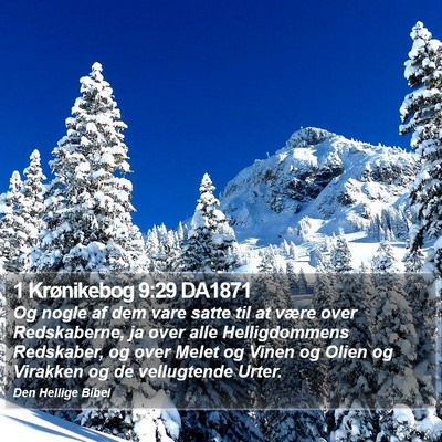 1 Krønikebog 9:29 DA1871 Bible Verse Image
