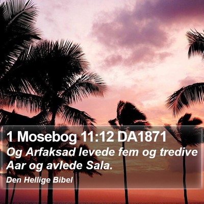 1 Mosebog 11:12 DA1871 Bible Verse Image
