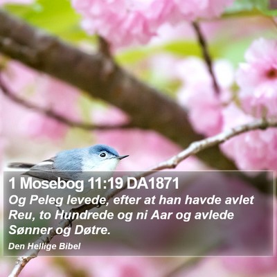1 Mosebog 11:19 DA1871 Bible Verse Image