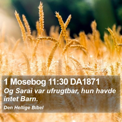 1 Mosebog 11:30 DA1871 Bible Verse Image