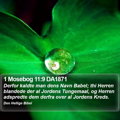 1 Mosebog 11:9 DA1871 Bible Verse Image
