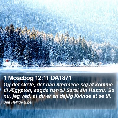 1 Mosebog 12:11 DA1871 Bible Verse Image