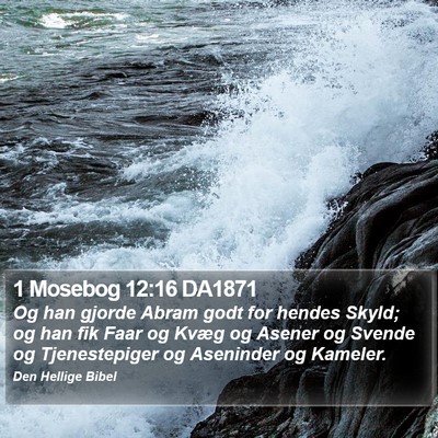 1 Mosebog 12:16 DA1871 Bible Verse Image