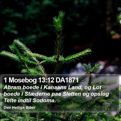 1 Mosebog 13:12 DA1871 Bible Verse Image
