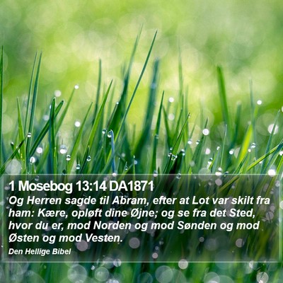 1 Mosebog 13:14 DA1871 Bible Verse Image