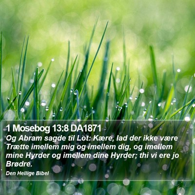 1 Mosebog 13:8 DA1871 Bible Verse Image