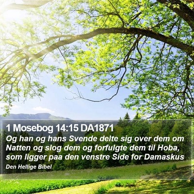 1 Mosebog 14:15 DA1871 Bible Verse Image