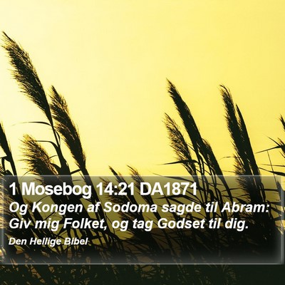 1 Mosebog 14:21 DA1871 Bible Verse Image
