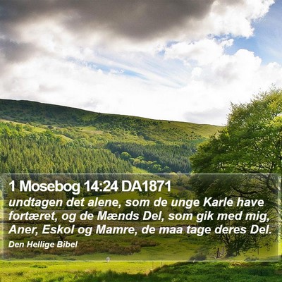 1 Mosebog 14:24 DA1871 Bible Verse Image