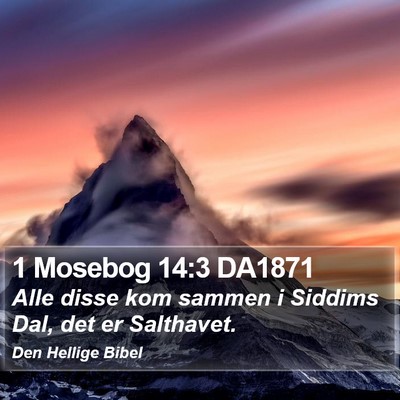 1 Mosebog 14:3 DA1871 Bible Verse Image