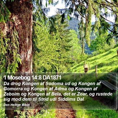 1 Mosebog 14:8 DA1871 Bible Verse Image
