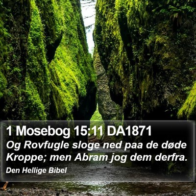 1 Mosebog 15:11 DA1871 Bible Verse Image