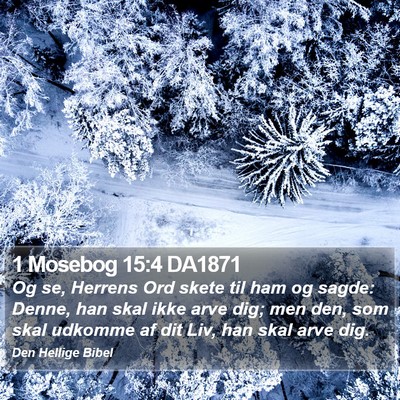 1 Mosebog 15:4 DA1871 Bible Verse Image