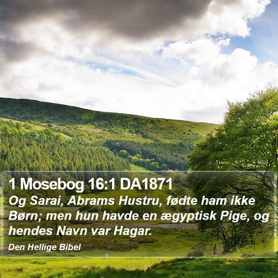 1 Mosebog 16:1 DA1871 Bible Verse Image