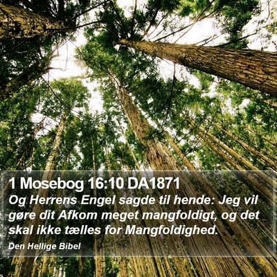 1 Mosebog 16:10 DA1871 Bible Verse Image